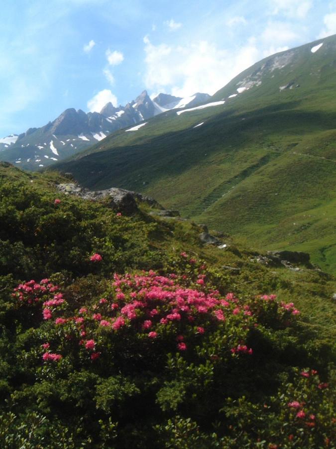 Das Unterrain Lifestyle Hotel Sankt Jakob in Defereggen Bagian luar foto